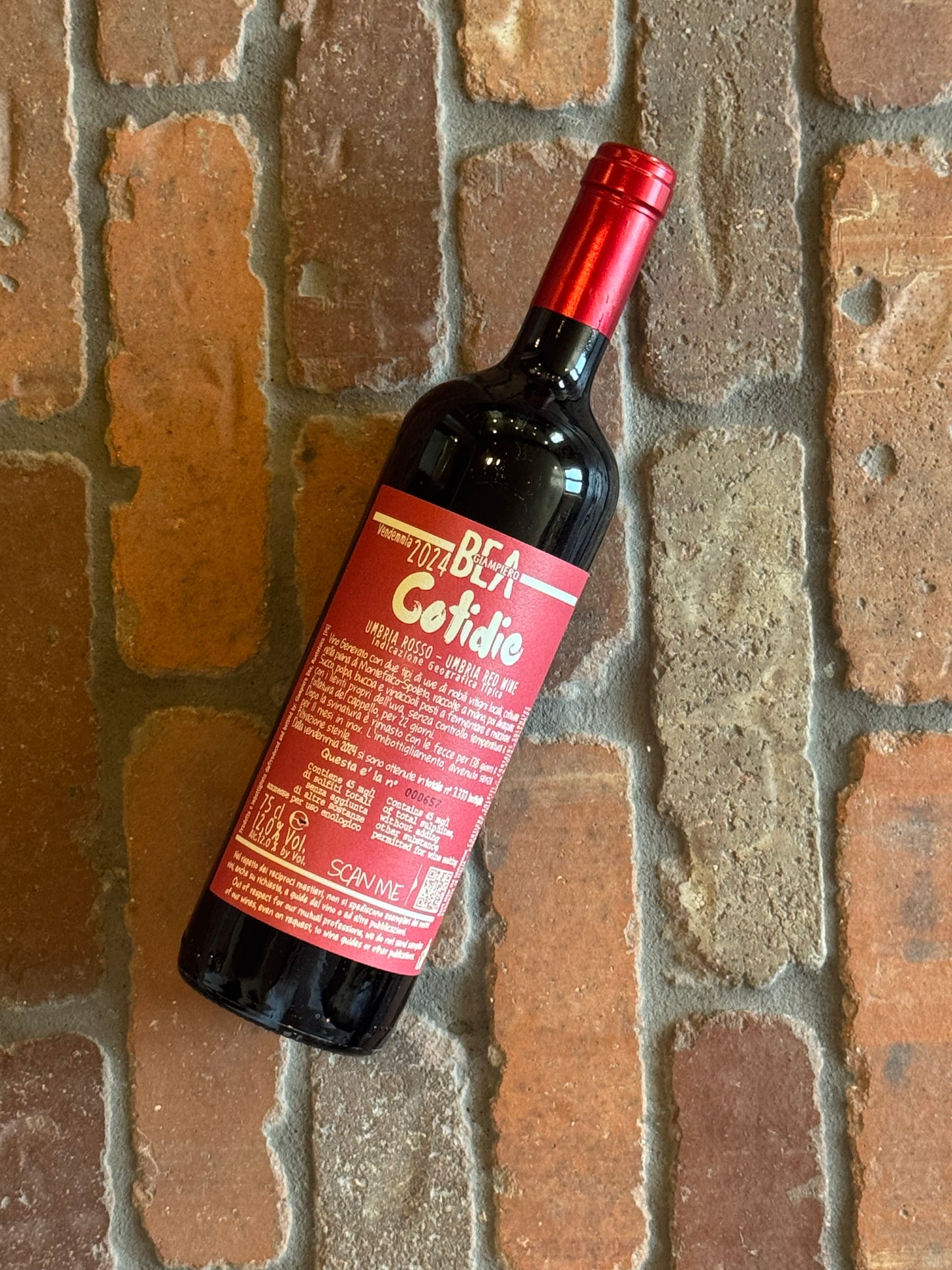 Paolo Bea Cotidie Rosso 2024